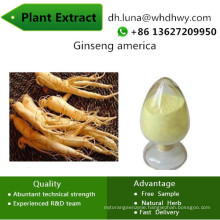 China Supply 80% Inhibition of Aging Plant Extracts Ginseng